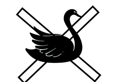 swan at crossroads