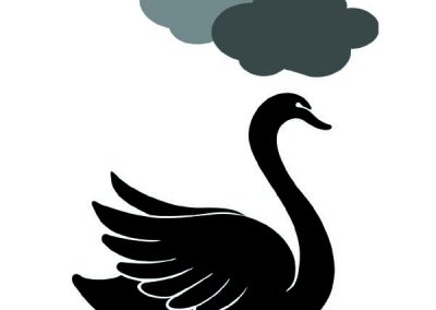swan & clouds