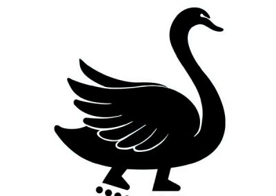 swan on rollerskates